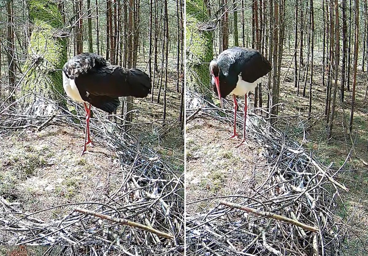 Pionierska akcja w Polsce. "Mówimy, że to serial, którego rusza 11. sezon"