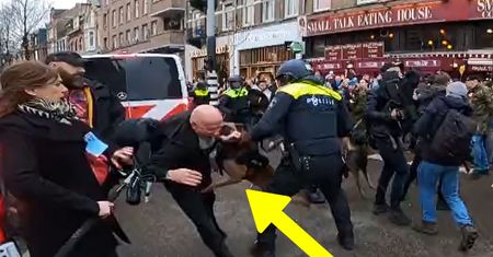 Cały świat to zobaczył. Przerażające sceny w Holandii