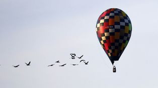 Weekend pełen atrakcji w Warszawie. Wielka parada, balony i kino pod chmurką. Większość wydarzeń z darmowym wstępem