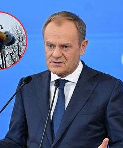 Rolnicy powiesili Kaczora Donalda. Tusk: dwuznaczny manifest