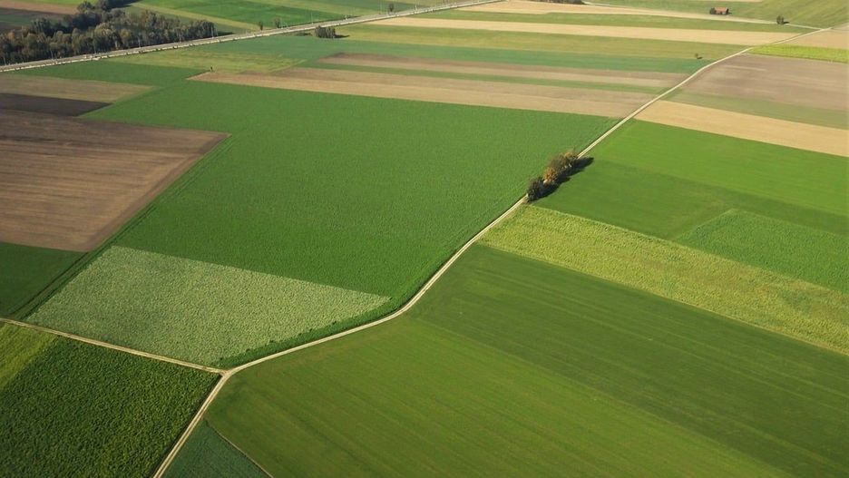 Majątek w nieruchomościach