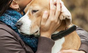Najgorszy gest w stronę psa. Nie lubi tego