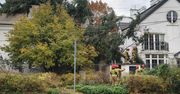 Warszawa: Przewrócone drzewo przez wiatr na Mokotowie. Interweniowała straż pożarna