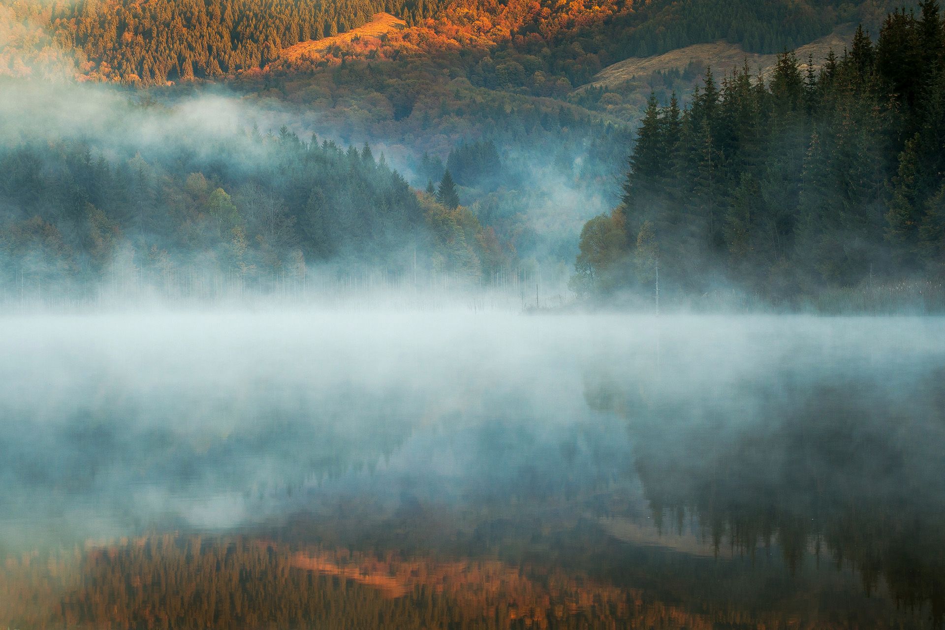 Nature Photographer of the Year 2019: Najpiękniejsze zdjęcia przyrody wybrane 10
