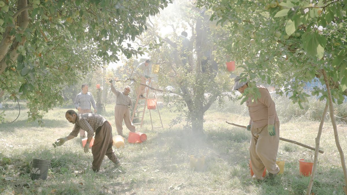 Czy Maximillian Mann splagiatował projekt na World Press Photo 2020? 1