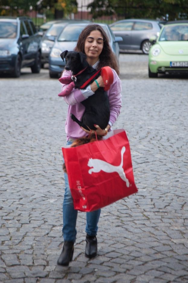Obraz