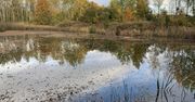 Wrocław: Zły stan zbiorników w Parku Szczytnickim. Wszędzie muł i śmieci. Miasto mówi o suszy hydrologicznej