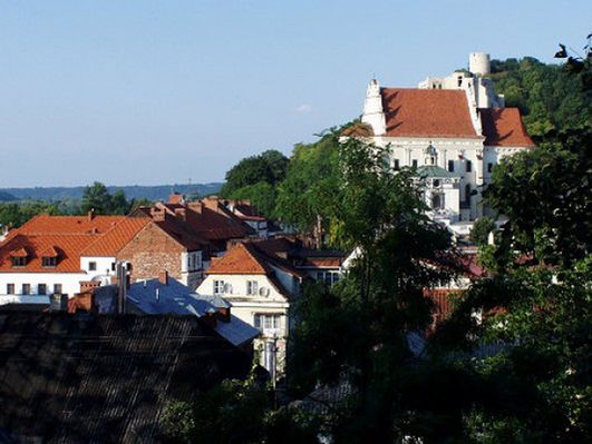 Obraz