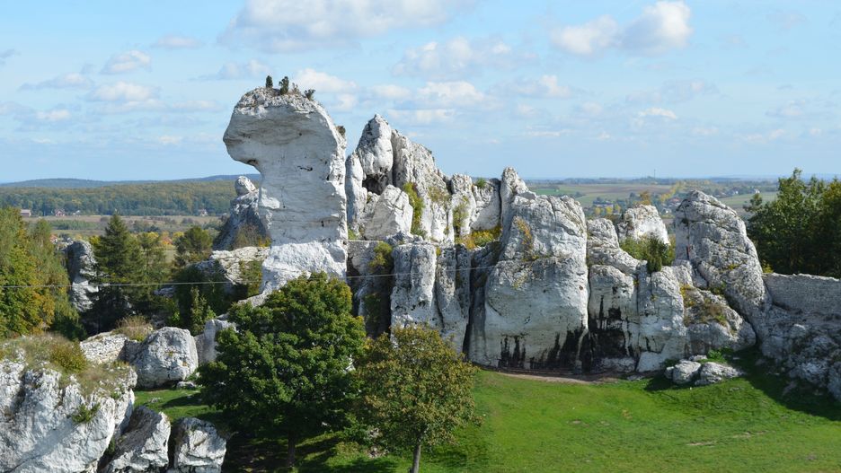Ostańce - wapienne skały w Jurze Krakowsko-Częstochowskiej 
