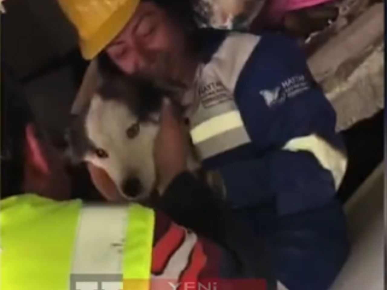 Cud w Turcji. Pies pod gruzami spędził 22 dni