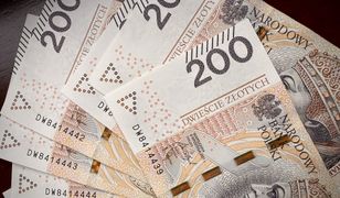 "Mały ZUS plus". Oto nowe zasady od stycznia 2026 r.