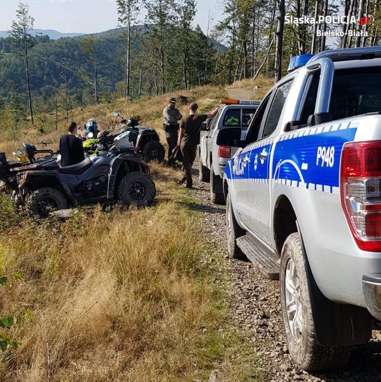 Bielsko-Biała. Przepadł podczas grzybobrania, wszystkie służby na nogach