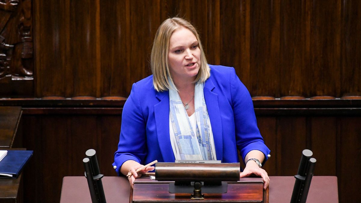 10. posiedzenie Sejmu IX kadencji15.04.2020 Warszawa Sejm 10. posiedzenie Sejmu IX kadencji   fot Jacek Dominski/REPORTERn/z: Dominika ChorosinskaJacek Dominski/REPORTER