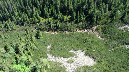 Feta dla środowiska 1