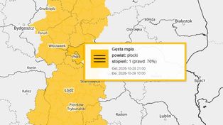 Gęste mgły w Płocku i powiecie płockim. IMGW ostrzega przed widzialnością poniżej 200 metrów!