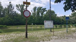 Sosnowiec: Ucieknij od zgiełku i odkryj dziedzictwo regionu