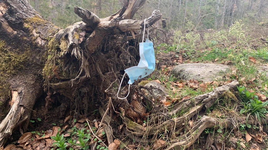 Maseczki lądują niestety nie tylko w kubłach na śmieci, gdzie ich miejsce, ale również na turystycznych szlakach. Tu zdjęcie Tatrzańskiego Parku Narodowego.