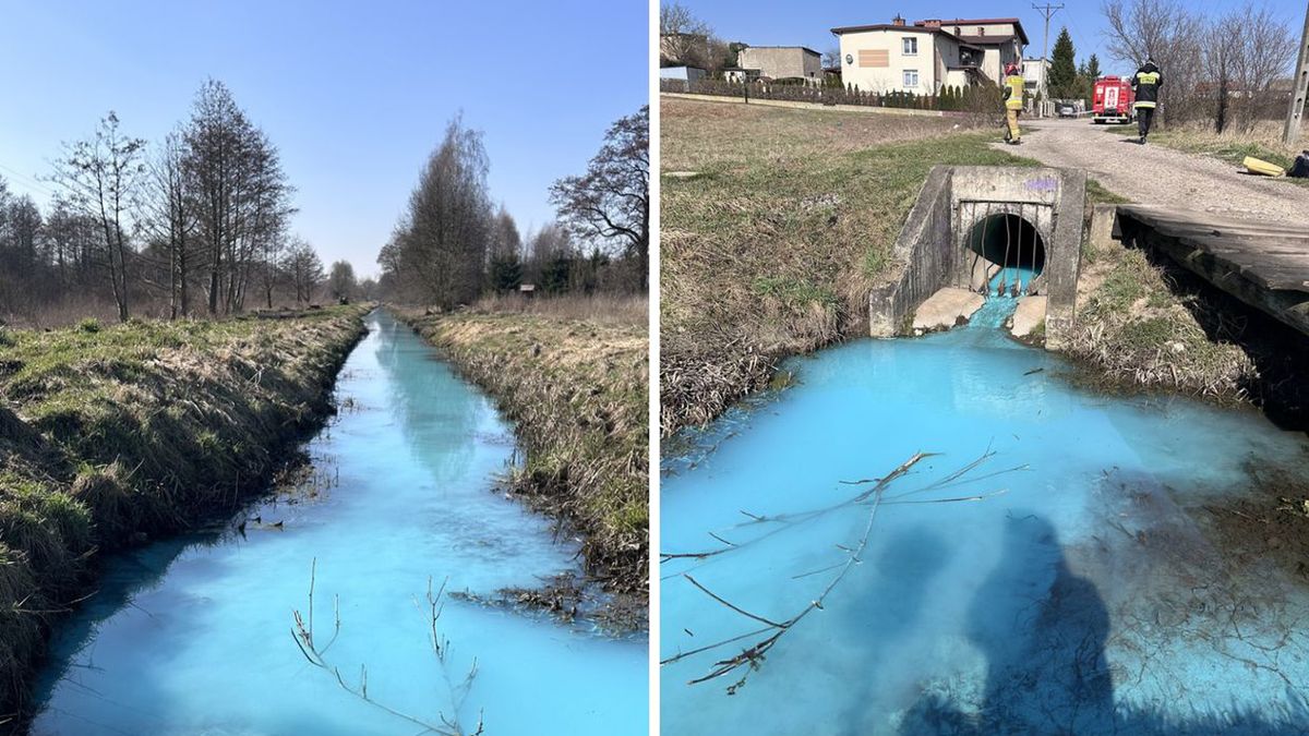 Woda w Kanale Młyńskim w Działdowie na Mazurach zmieniła kolor