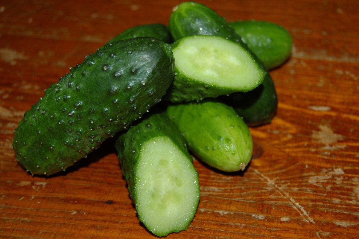 Social media sensation: Cucumbers taste like watermelon with sugar