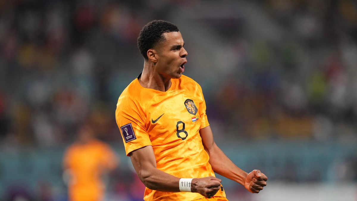 DOHA, QATAR - NOVEMBER 25: Cody Gakpo #8 of Netherlands celebrates after scoring his team's first goal during the FIFA World Cup Qatar 2022 Group A match between Netherlands and Ecuador at Khalifa International Stadium on November 25, 2022 in Doha, Qatar. (Photo by Cui Nan/China News Service via Getty Images)