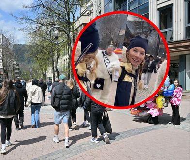 Biały miś, który nękał turystów, powrócił. Znów grasuje na Krupówkach