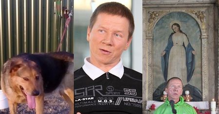 Kuryło: "To schronisko wymaga kontroli i ja osobiście się tym zajmę!"
