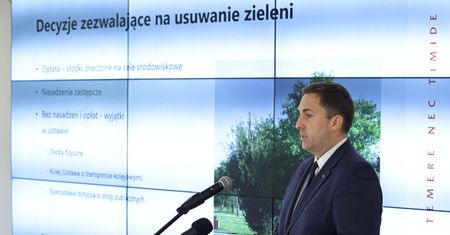 Gdańsk. Trzy razy więcej nasadzeń niż wycinek. Jest projekt władz miasta