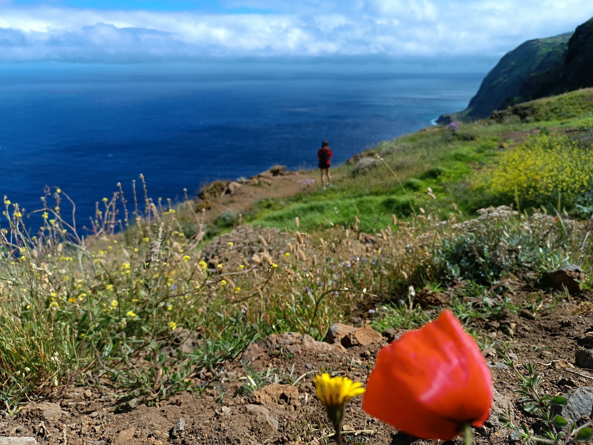 Madera: Widok na ocean z okolic Farol da Ponta do Pargo