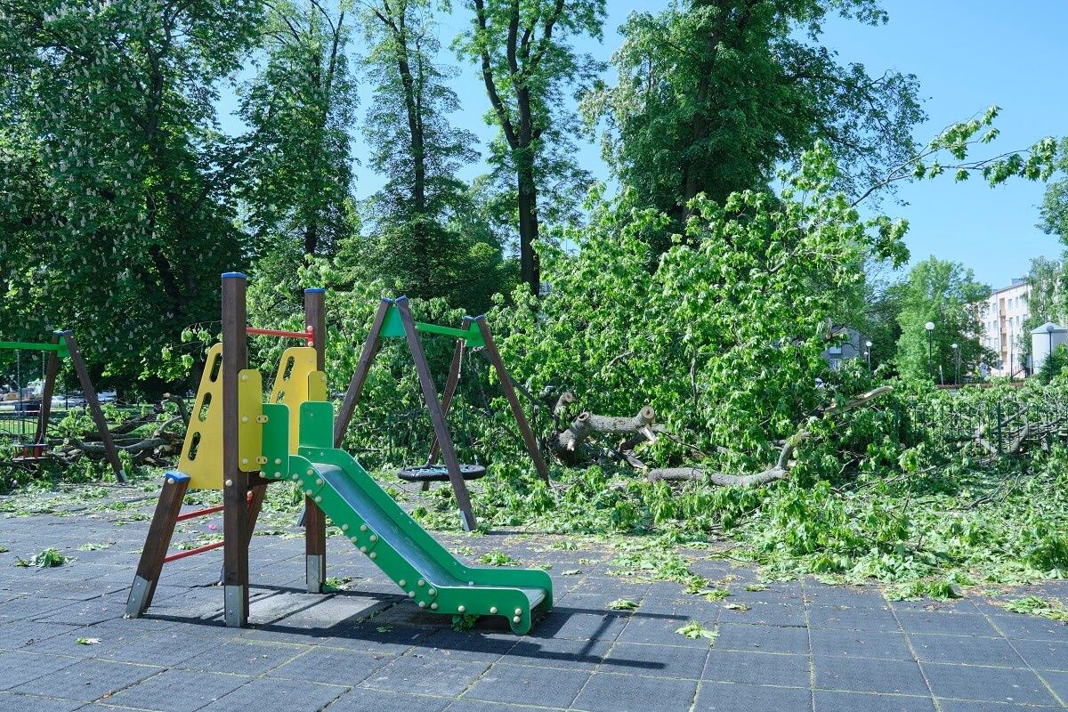 Drzewo spadło na plac zabaw w centrum Lublina