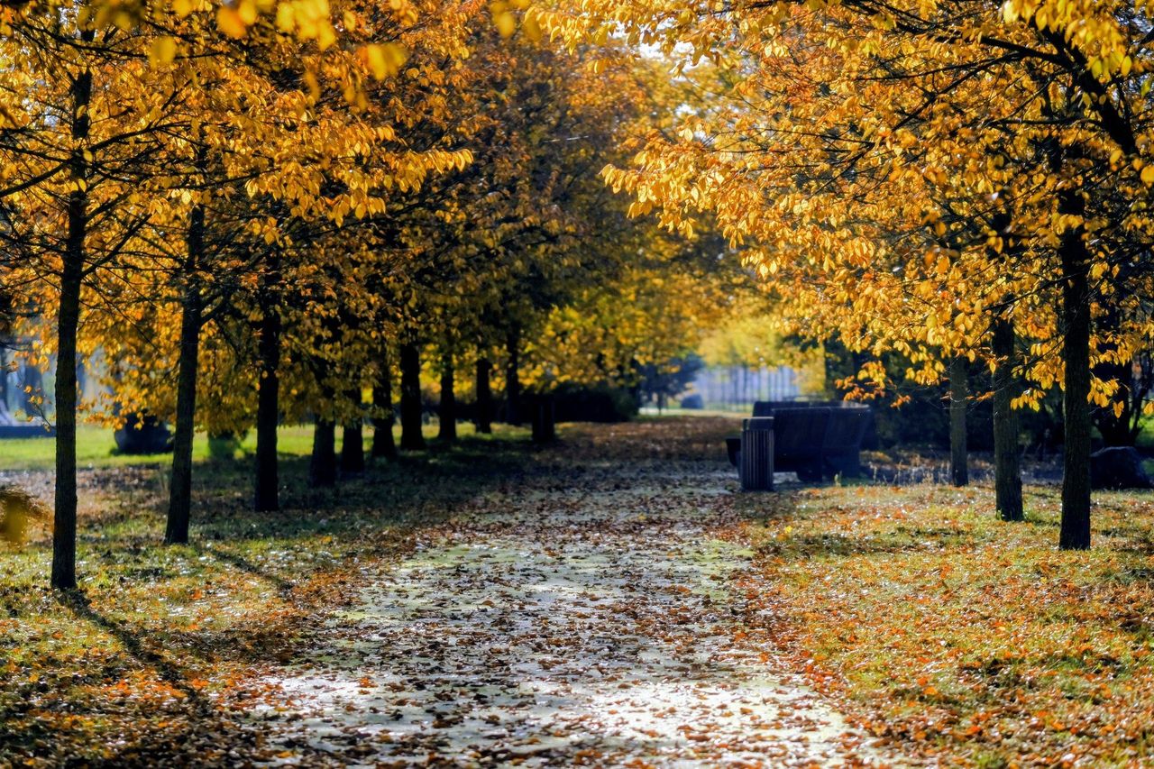 Łódzkie: Sprawdź pogodę na poniedziałek