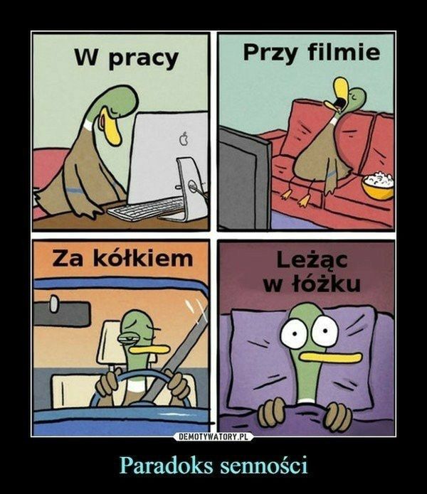 Memy o śpiochach