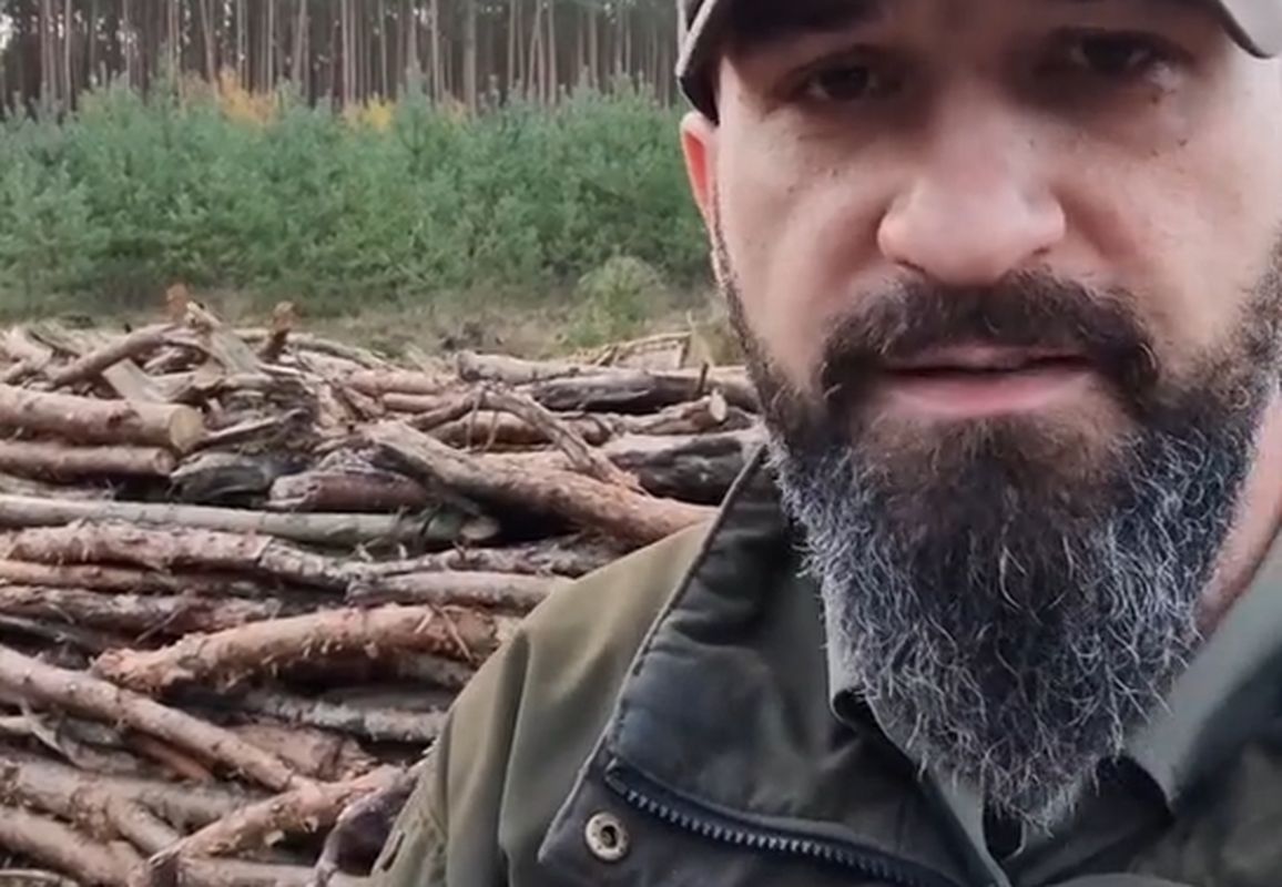 Leśnik mówi, skąd wziąć tanie drewno na opał