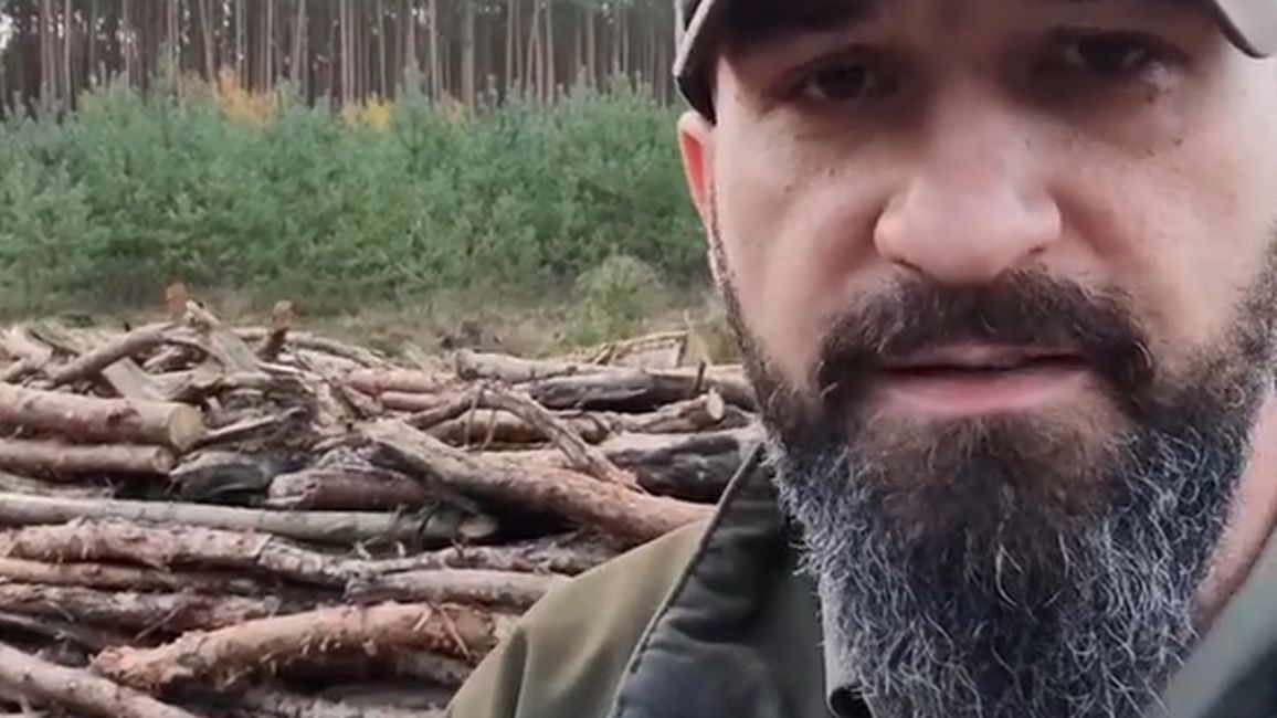 Leśnik mówi, skąd wziąć tanie drewno na opał