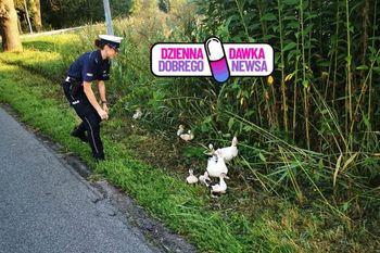 Były na środku ulicy. Policjantka wyskoczyła z radiowozu. Zatrzymała ruch