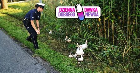 Były na środku ulicy. Policjantka wyskoczyła z radiowozu. Zatrzymała ruch