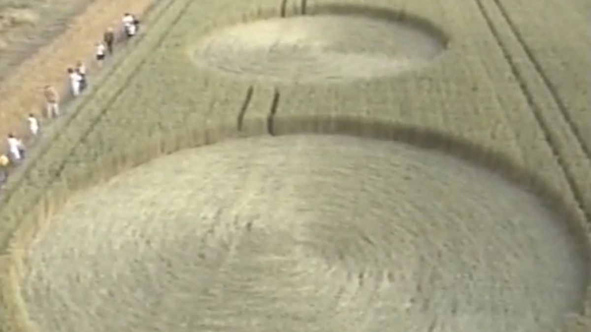 Kręgi w zbożu w Wylatowie