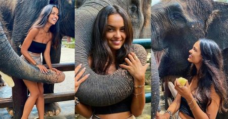 Rozochocona Klaudia El Dursi zabawia się ze słoniami na Bali. Fani OBURZENI: "Kryje się za tym ból, strach i nieszczęście zwierząt!"