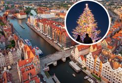 W Gdańsku postawili już bożonarodzeniową choinkę. Półtora miesiąca przed świętami