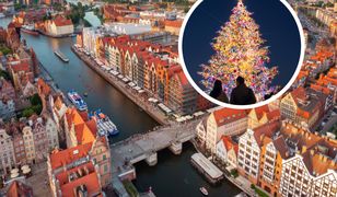 W Gdańsku postawili już bożonarodzeniową choinkę. Półtora miesiąca przed świętami