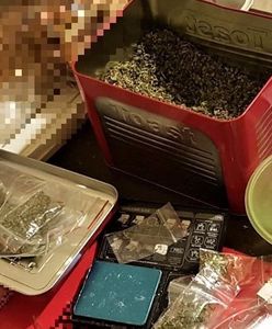 Wrocław. Z parku prosto za kratki. Policja uderzyła w biznes dopalaczy