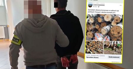 23-latkowie wycięli 170 drzew. Zgubił ich Facebook