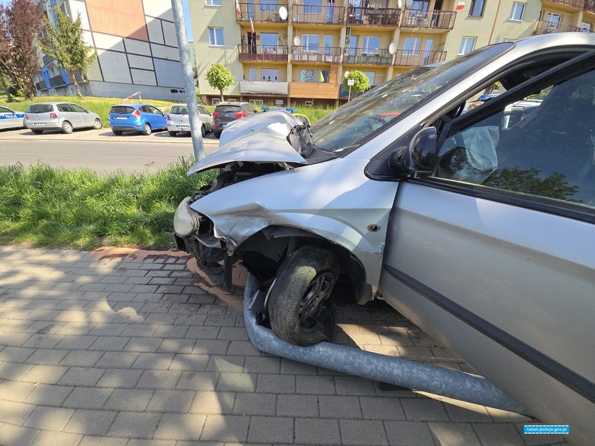 Fot. Licencjodawca