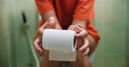 Zakurzone mieszkanie? Uważaj! Tak możesz zarazić się pasożytami