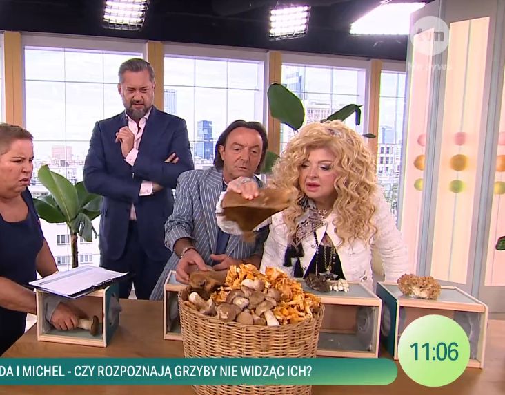 Żarty o "MACANIU GRZYBA" w "DDTVN"