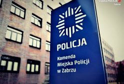 Zabrze. Niebezpieczne spotkanie. Ranny dzik zaatakował przechodnia i policjantów