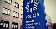 Zabrze. Niebezpieczne spotkanie. Ranny dzik zaatakował przechodnia i policjantów