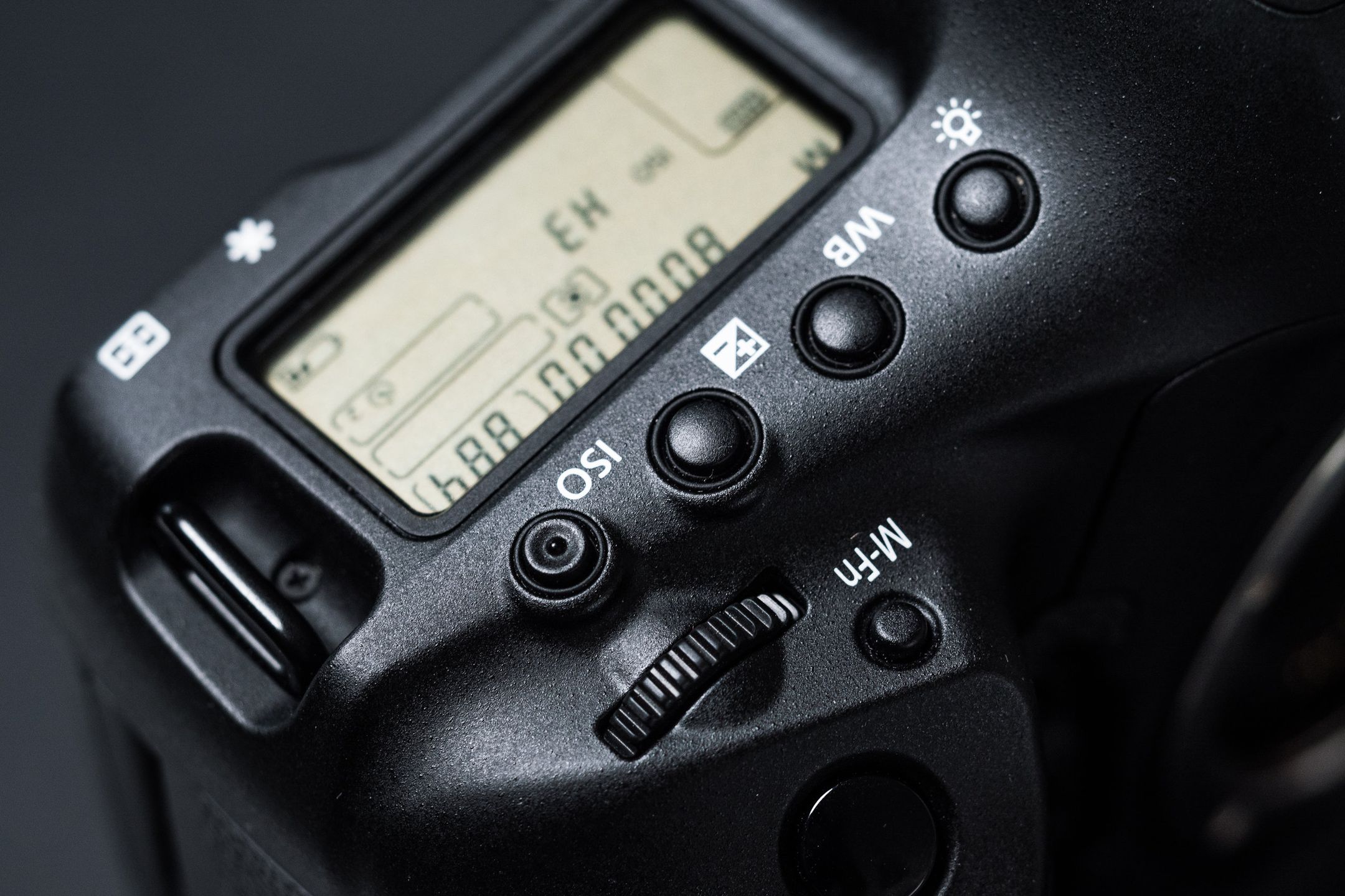 Canon EOS-1D X Mark II - test najszybszej lustrzanki na świecie 5
