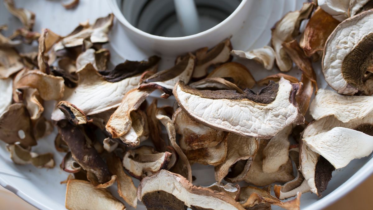 Suszenie grzybów w suszarce to jedna z najpopularniejszych metod