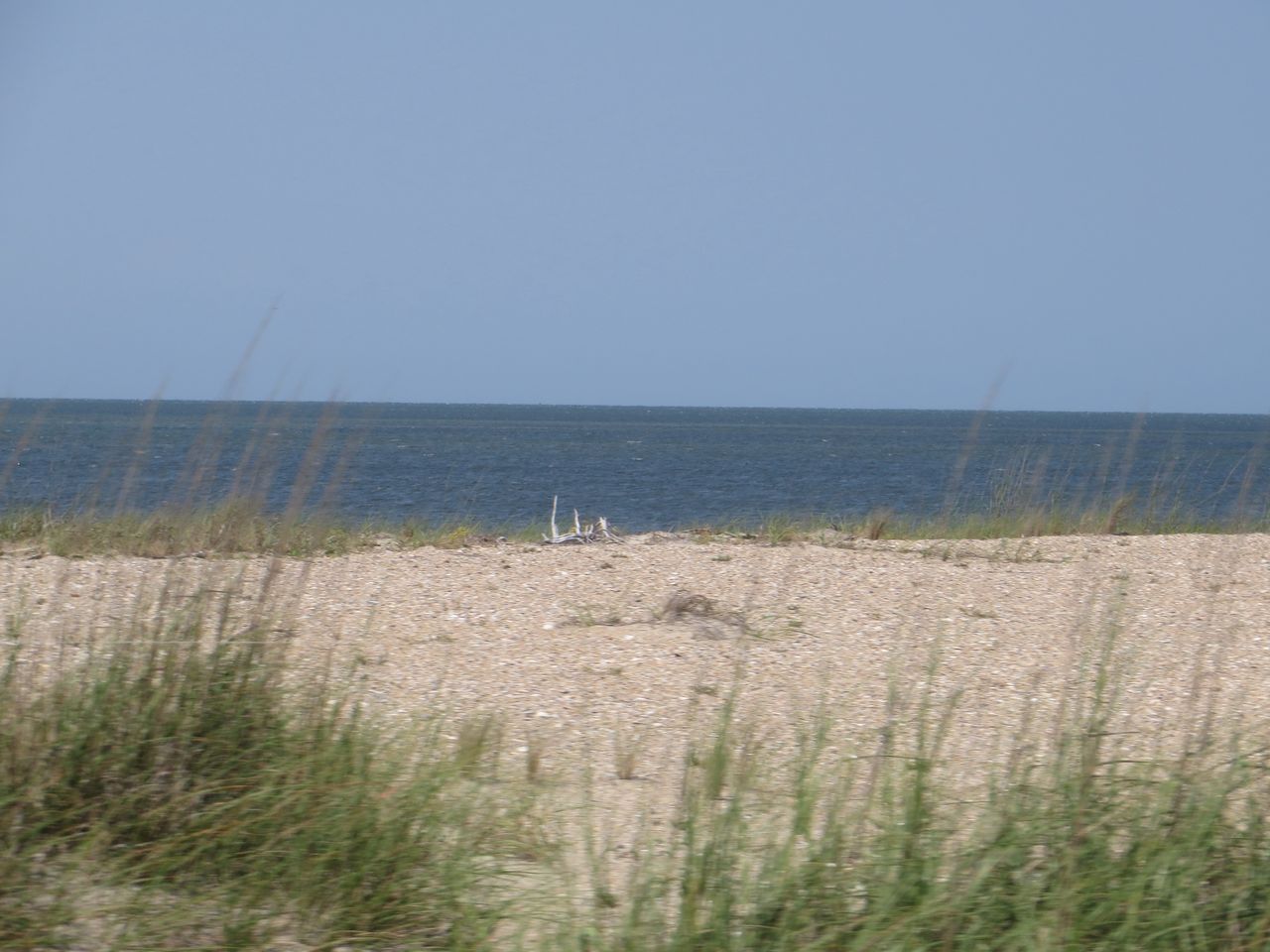 Plaża Cape Hatteras