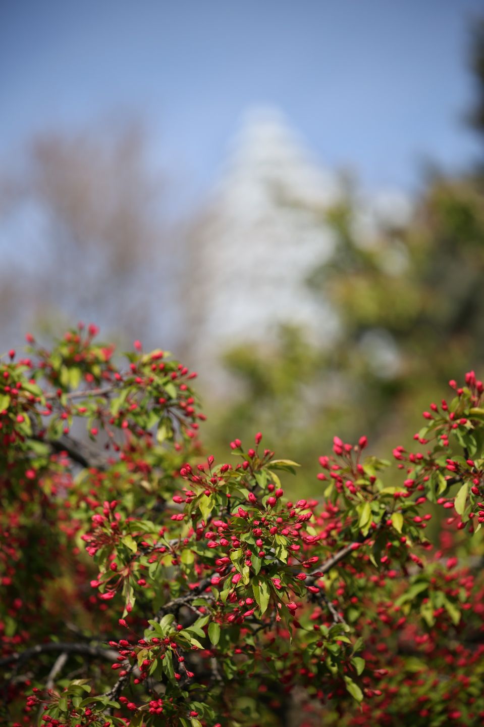 Tamron SP 70-200 mm f/2.8 Di VC USD G2 – obiecanki, wcale nie cacanki! [test] 38